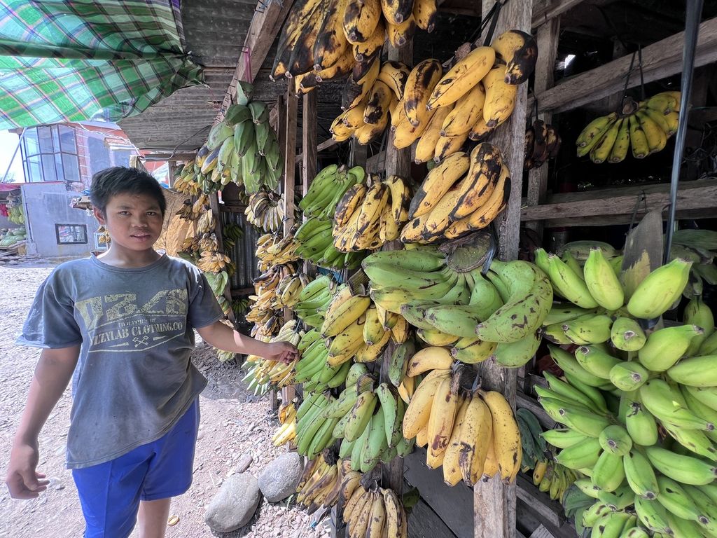Seorang anak menunggu dagangan pisang di Desa Kanreapia, Kecamatan Tombolopao, Gowa, Sulawesi Selatan, Rabu (11/10/2023).