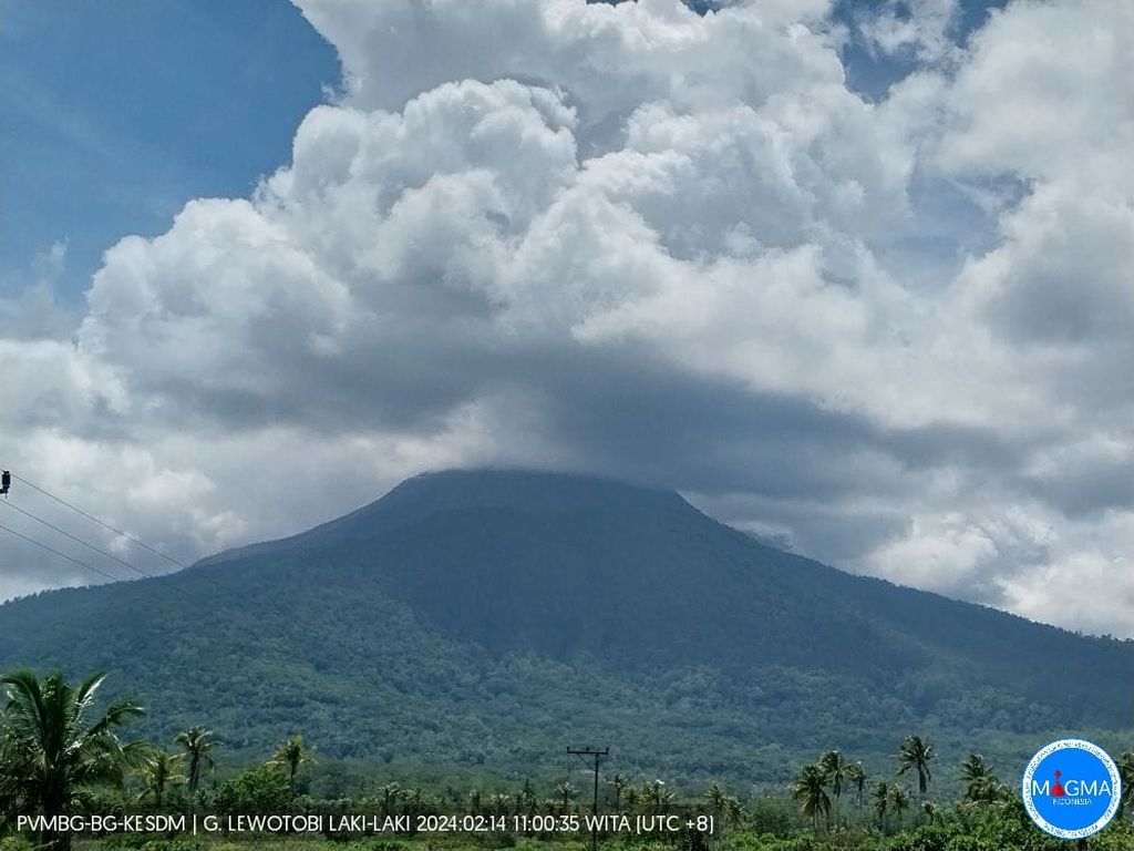 Awan menutup puncak Gunung Lewotobi Laki-laki di Kabupaten Flores Timur, Nusa Tenggara Timur, Rabu (14/2/2024) siang. Status keaktifan gunung itu pada Level III atau Siaga.