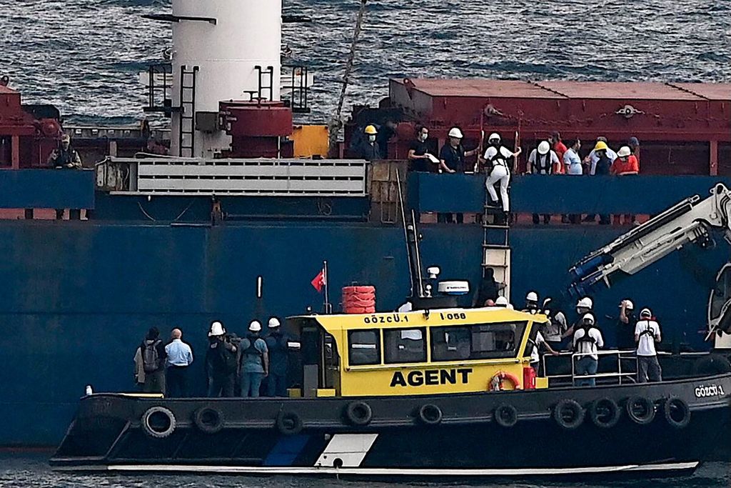 Pemeriksaandilakukan untuk memastikan bahwa kapal kargo meninggalkan Ukraina hanya dengan membawa muatan biji-bijian, pupuk, atau makanan dan bukan membawa komoditas lainnya, termasuk senjata. 