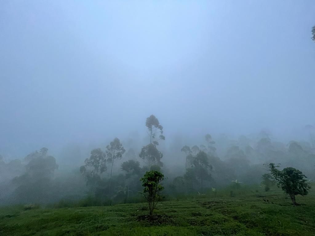 Kabut menyelimuti daerah  Pulosari, Pangalengan, Bandung, Jawa Barat, Rabu (27/12/2023).