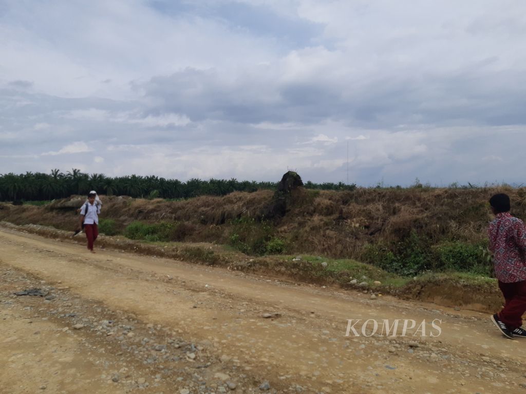 Siswa sekolah dasar berjalan kaki di jalan tanah dalam areal konsesi perusahaan perkebunan kelapa sawit PT Kallista Alam, di Kecamatan Darul Makmur, Kabupaten Nagan Raya, Provinsi Aceh, Selasa (22/12/2022). 