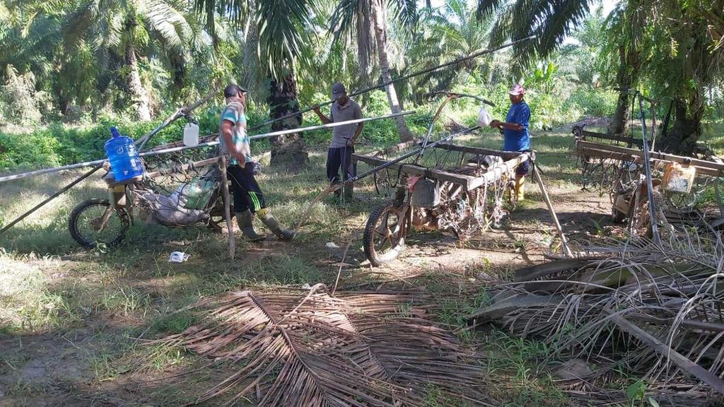 Petani beraktivitas di Desa Transmini, Kecamatan Batahan, Kabupaten Mandailing Natal, Sumatera Utara, Jumat (8/7/2022). Sebagian petani menunda panen karena harga sawit yang anjlok hingga Rp 600 per kilogram. 