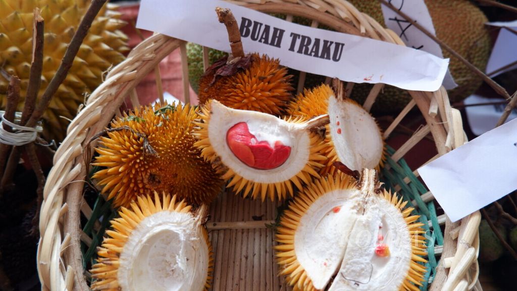 Buah traku, sejenis durian dari Kabupaten Balangan, Kalimantan Selatan, Kamis (24/1/2019). Traku tergolong buah langka yang sulit ditemukan di pasar-pasar.
