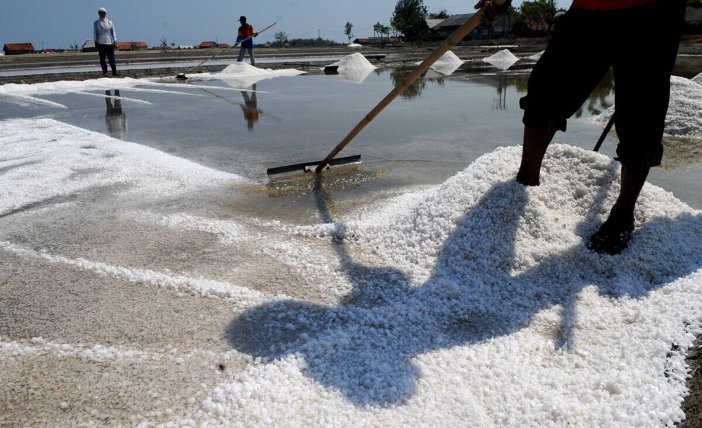 Petani memanen garam di Desa Lembung, Kecamatan Galis, Pamekasan, Jawa Timur.