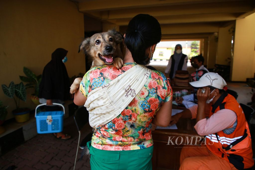 Warga menggendong anjing peliharaannya untuk mendapatkan vaksin rabies di Kelurahan Petukangan Selatan, Kecamatan Pesanggrahan, Jakarta Selatan, Rabu (12/10/2022).