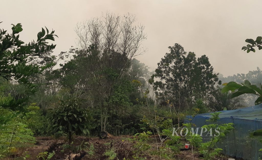 Asap membubung dari lokasi kebakaran di Jalan Karya Hapakat, Kota Palangkaraya, Kalimantan Tengah, pada Selasa (26/9/2023) sore. Kabut asap sudah menyelimuti lokasi tersebut sejak pukul 07.00 hingga petang.