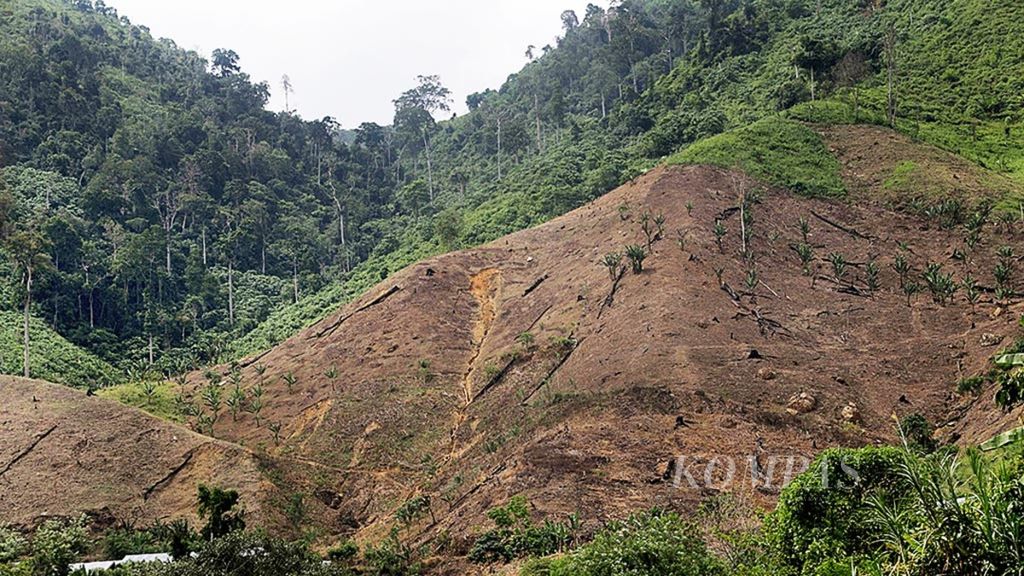 Salah satu titik alih fungsi hutan menjadi perkebunan di dalam Kawasan Ekosistem Leuser (KEL) di Aceh Tenggara, Aceh, Minggu (7/5/2017). KEL merupakan hutan hujan tropis, daerah tangkapan air, dan habitat satwa langka. 