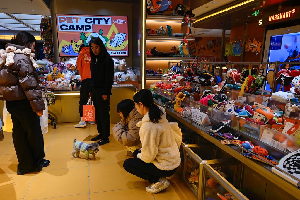 Orang-orang berbelanja di toko perlengkapan hewan peliharaan di sebuah pusat perbelanjaan di Beijing, China, pada Kamis (9/11/2023). 