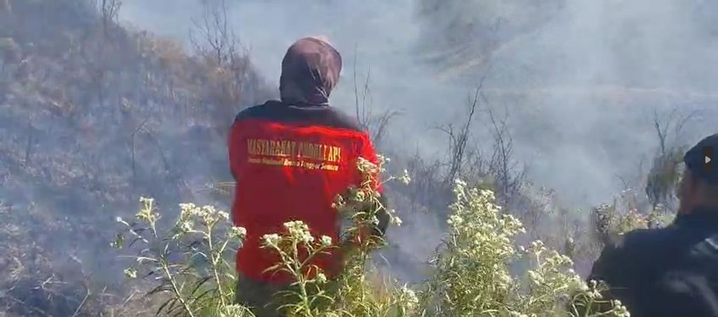 Petugas dan masyarakat peduli api tengah menjinakkan kebakaran lahan di sekitar Puncak Lempitan di sisi tenggara Puncak Lemen Gunung Penanjakan, Taman Nasional Bromo Tengger Semeru, Kamis (20/6/2024)