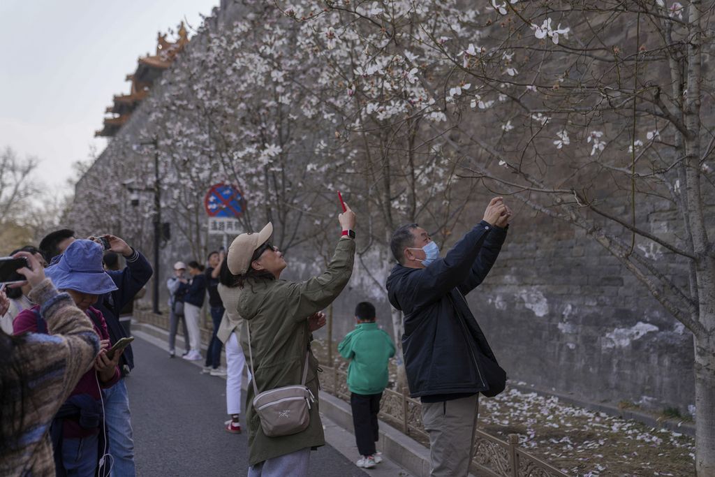 Warga pensiunan mengambil foto bunga di Kota Terlarang di Beijing, China, 16 Maret 2024. 