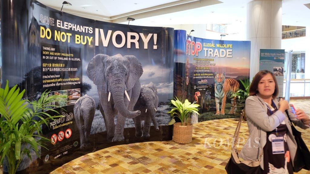 Baliho berisi kampanye untuk menghentikan penjualan dan pembelian produk-produk dari harimau dan gajah dipasang di salah satu sudut Miracle Grand Convention Hotel Bangkok, Thailand, Rabu (13/9/2017). 