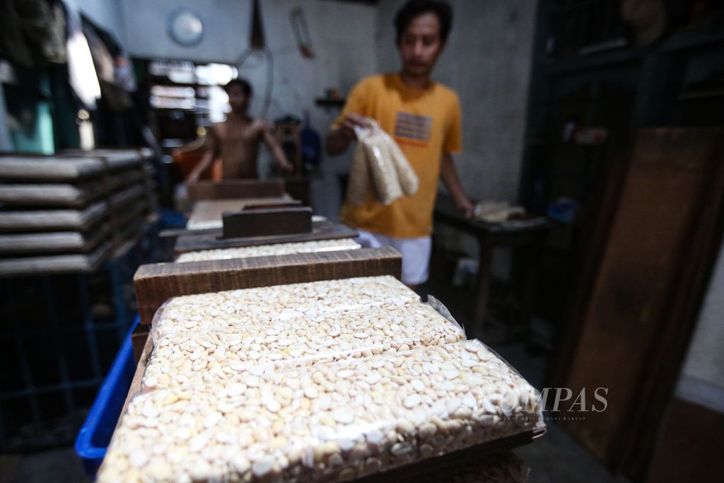 Perajin tempe memproduksi tempe dengan menggunakan bahan baku kedelai impor di rumah produksi tempe di kawasan Kebayoran Lama, Jakarta Selatan, Kamis (2/5/2024). Perajin mengakui pelemahan nilai tukar rupiah terhadap dollar AS berdampak pada kenaikan harga kedelai impor yang menjadi bahan baku utama tempe.