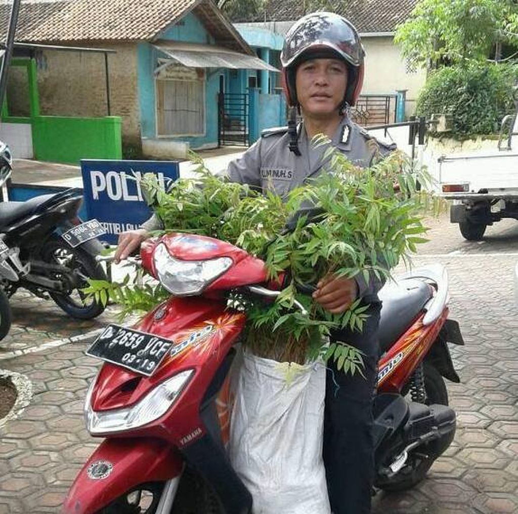Foto yang diunggah pada Desember 2016 di Facebook Aiptu Nunuh Sutisna menunjukkan saat Nunuh membawa bibit pohon menggunakan sepeda motor. Anggota Polri ini aktif menggerakkan penanaman pohon serta pelestarian lingkungan hidup di sejumlah daerah di Jawa Barat.