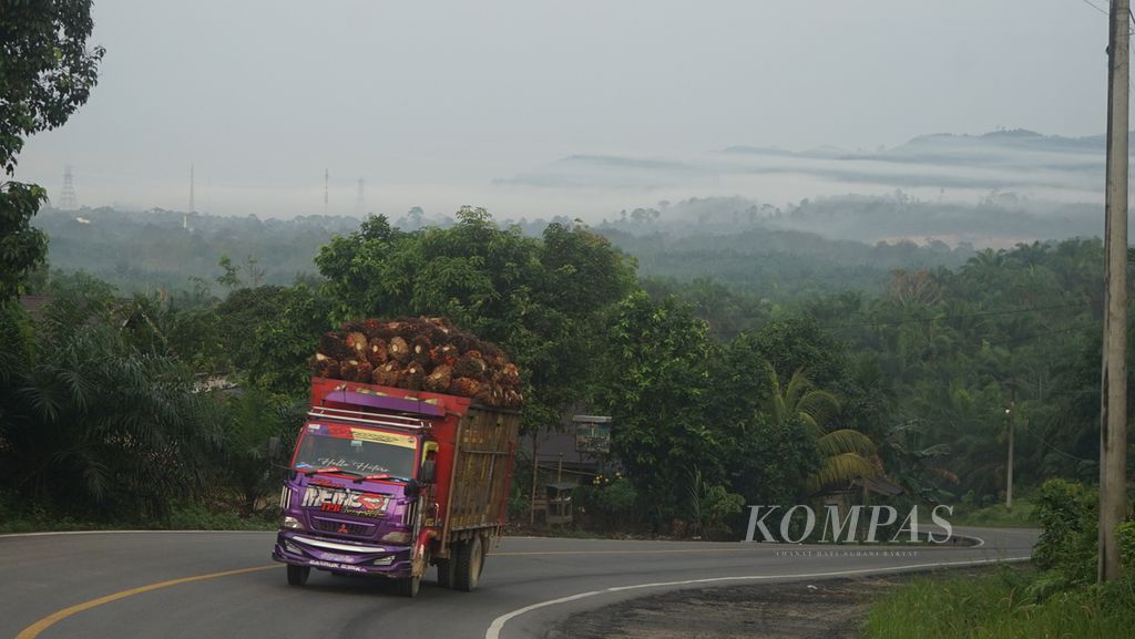 Sebuah truk pengangkut tandan buah segar sawit tengah melewati jalan lintas timur Sumatera di Kabupaten Indragiri Hilir, Riau, Senin (2/1/2022). Jalan ini menjadi jalur penghubung antarprovinsi di Sumatera dengan beberapa kendala, seperti jalan rusak, bergelombang, serta longsor di sejumlah sisi.