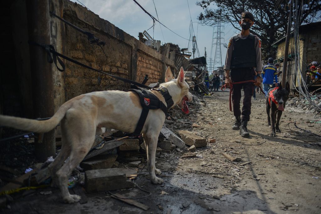 Two K-9 dogs helped police search for missing victims in one of the ruins on Jalan Tanah Merah Bawah, Rawa Badak Selatan, Koja, North Jakarta, Sunday (5/3/2023).