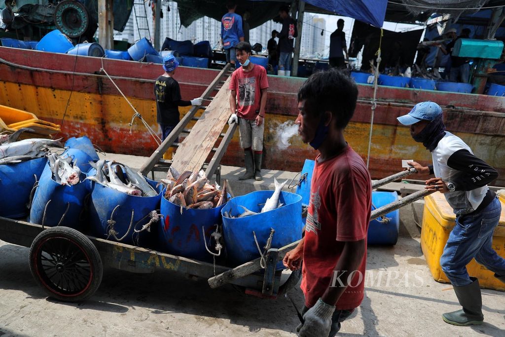 Buruh membongkar ikan dari lambung kapal di Pelabuhan Muara Angke, Jakarta Utara, Minggu (11/7/2021). 