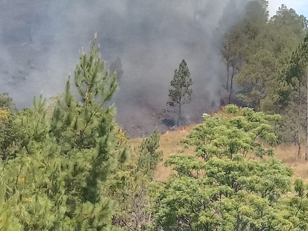 Perbukitan di kawasan Danau Toba terbakar sebagaimana terlihat, Minggu (7/8/2022). Kebakaran hutan dan lahan selalu berulang setiap musim kemarau di kawasan strategis nasional dan destinasi pariwisata superprioritas itu.