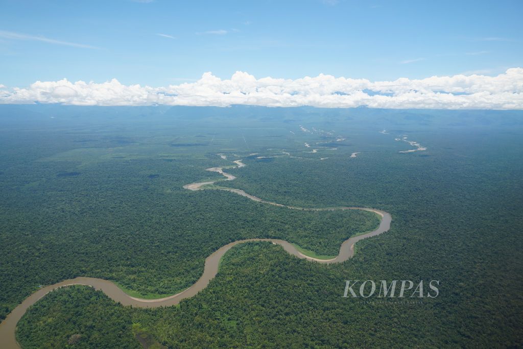 Tutupan hutan yang dipotong sungai menghampar di wilayah Kabupaten Mimika, Papua, Rabu (16/3/2022). Perekonomian Mimika sangat bergantung pada sektor pertambangan yang diwakili PT Freeport Indonesia dengan total kontribusi pada produk domestik regional bruto (PDRB) sebesar 87 persen pada 2017.