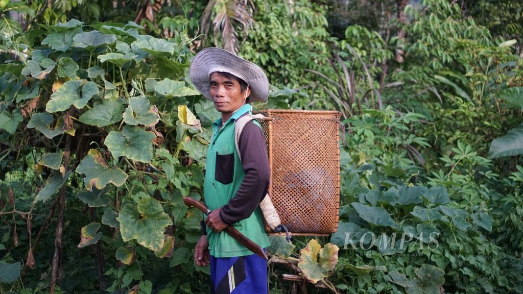 Sumantri (49) alias Samon berpose dengan membawa <i>tengkalang </i>di bahunya di Kampung Mului, Desa Swan Slotung, Kecamatan Muara Komam, Kabupaten Paser, Kalimantan Timur, Selasa (21/11/2023).