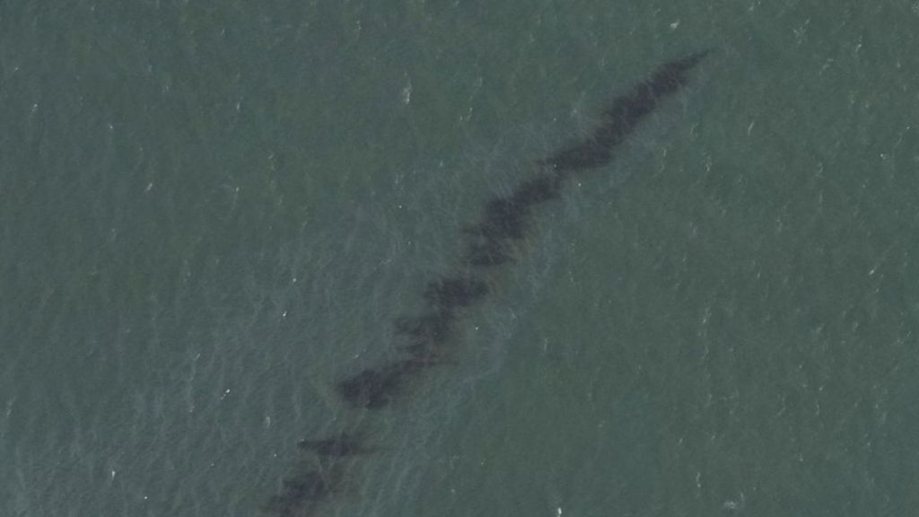Foto dari satelit Badan Atmosfer dan Kelautan Nasional AS (NOAA) memperlihatkan tumpahan minyak di lepas pantai Louisiana setelah berlalunya badai Ida, Rabu (1/9/2021). Di Teluk Meksiko, penyelam telah menemukan pipa sumber tumpahan minyak, walaupun belum diketahui siapa pemilik pipa tersebut.