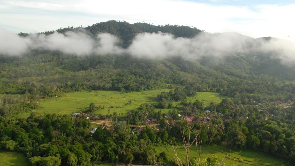 Puncak Bukit Tamulun Indah di Desa Berkun, Limun, Sarolangun, Jambi, Selasa (16/11/2021).