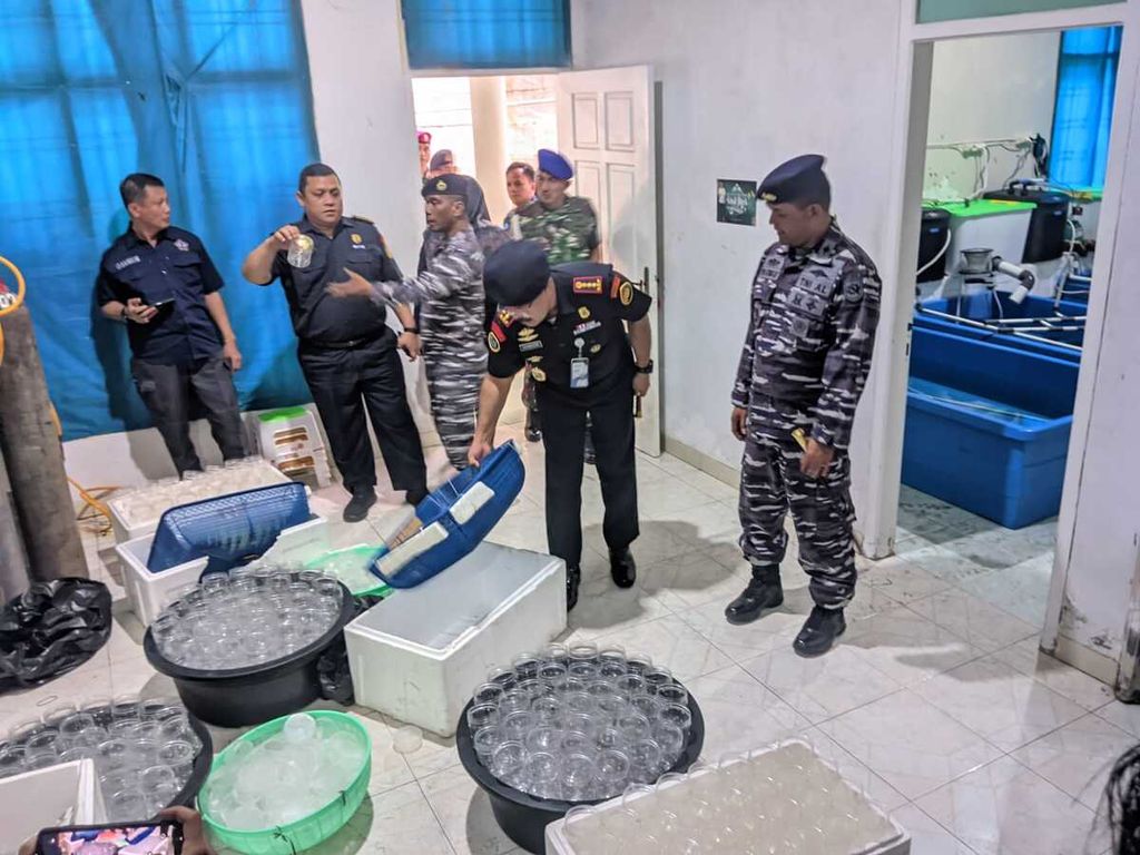 Sebuah rumah yang diduga digunakan sebagai gudang penyegaran benih bening lobster di Kota Bandar Lampung digerebek oleh tim gabungan dari Pangkalan TNI Angkatan Laut Lampung dan Brigif 4 Marinir/BS, Kamis (13/6/2024).