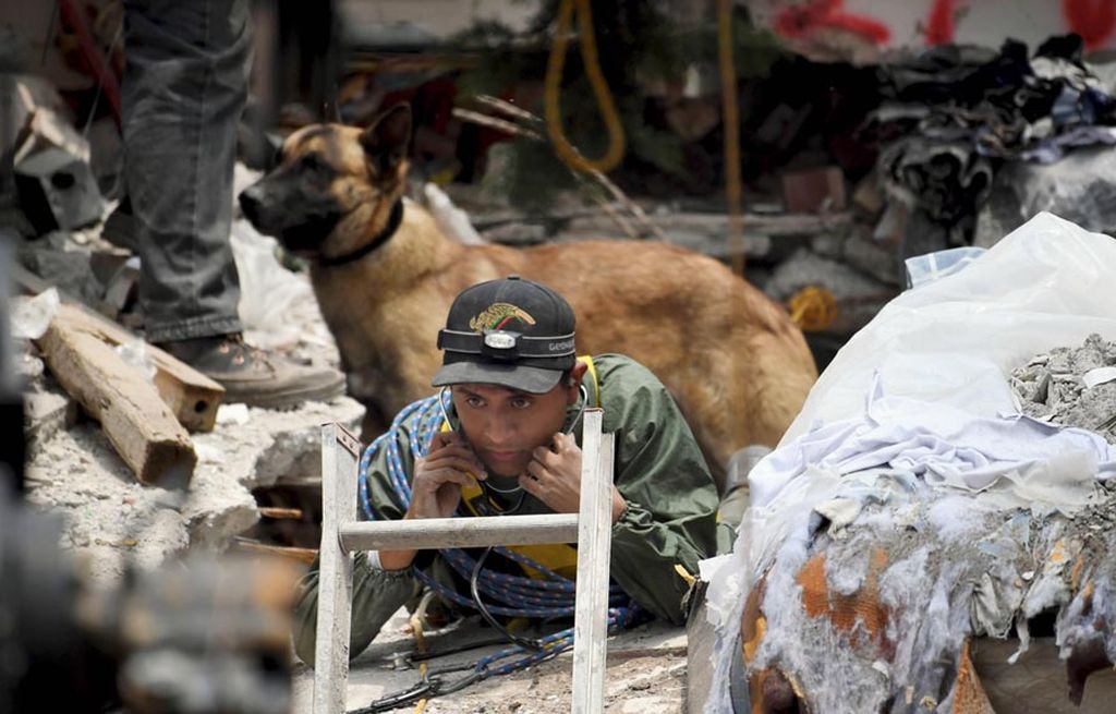 Anjing pelacak siaga di dekat petugas penyelamat dalam operasi pencarian korban gempa bumi di Mexico City, Kamis (21/9), dua hari setelah gempa bumi bermagnitudo 7,1 mengguncang ibu kota Meksiko itu. 