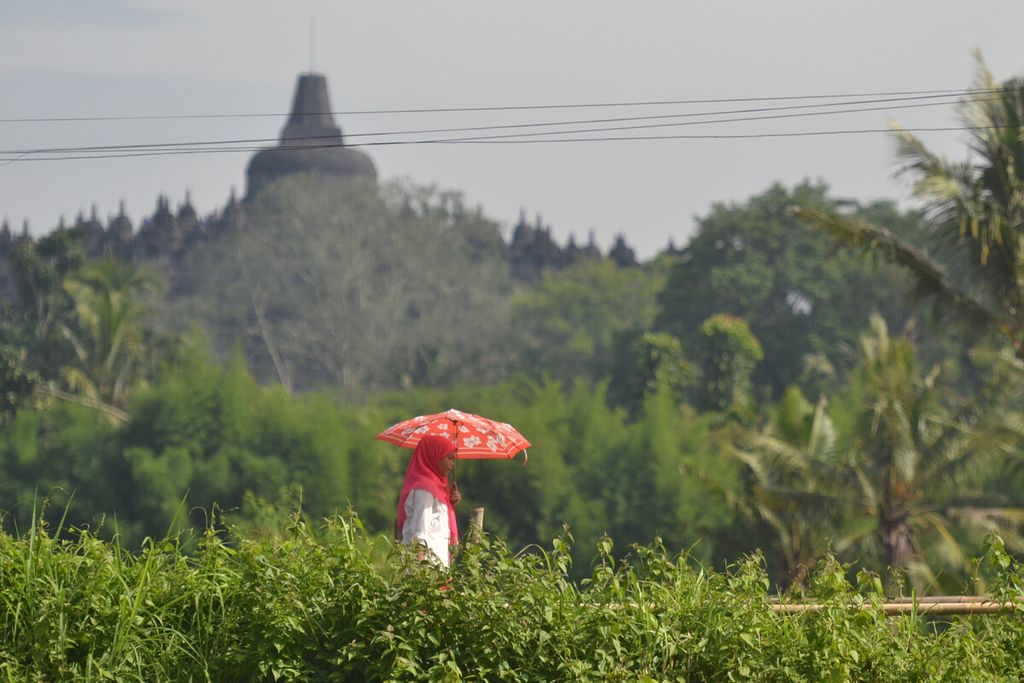 Residents pass in a rice field area next to Borobudur Temple in Ngaran Hamlet, Borobudur Village, Borobudur District, Magelang Regency, Central Java, Friday (31/1/2020).