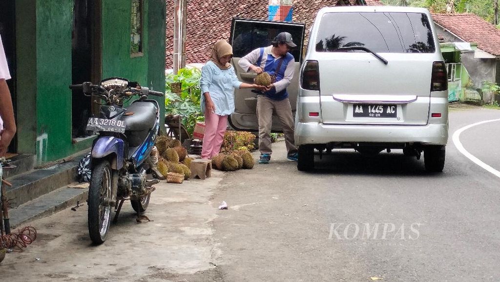 Seorang pembeli tampak mengangkut banyak durian yang dibeli ke dalam mobilnya yang diparkir di jalan raya Kecamatan Kaligesing, Kabupaten Purworejo, Jawa Tengah, Kamis (26/1/2023).