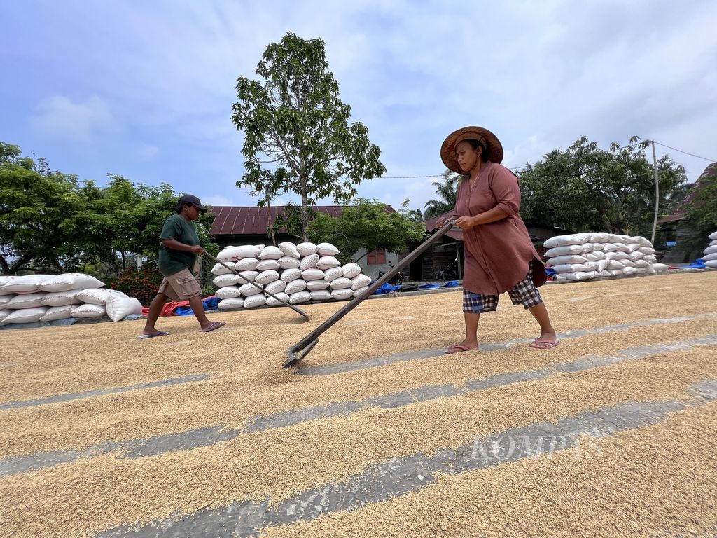 Buruh menjemur padi di salah satu penggilingan di Desa Lasampi, Kecamatan Bumi Raya, Morowali, Sulawesi Tengah, Sabtu (30/12/2023).