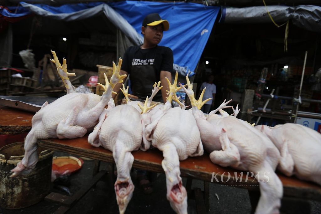 Pedagang ayam potong menunggu pembeli di Pasar Kebayoran Lama, Jakarta, Kamis (29/6/2023). 