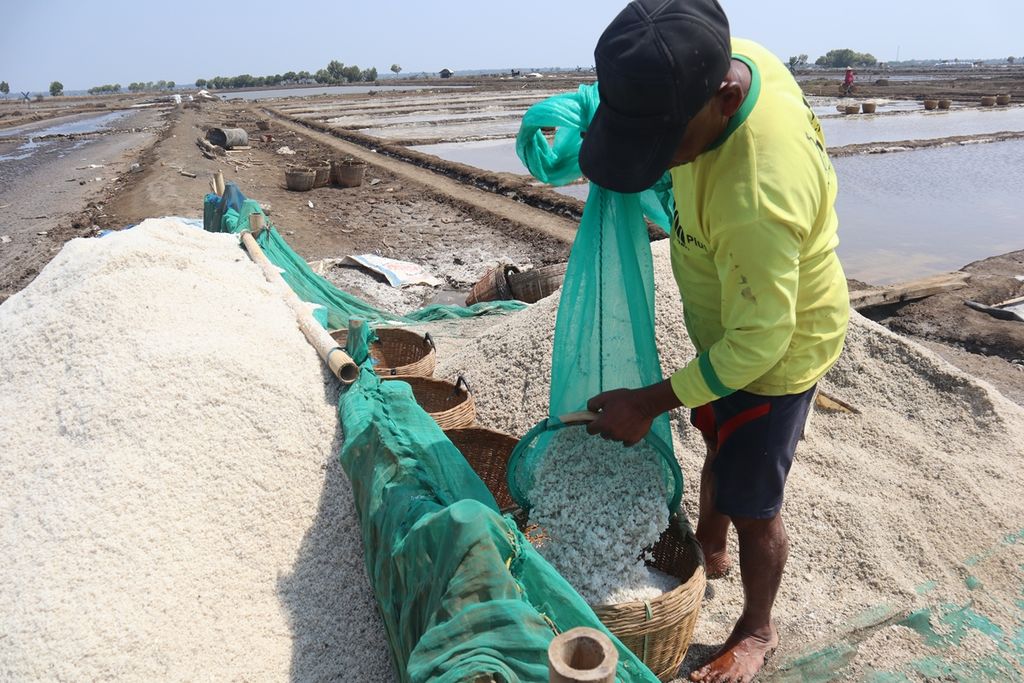 Pembudidaya garam mencuci garam panenannya menggunakan larutan garam tua di Desa Ciparagejaya, Kecamatan Tempuran, Karawang, Jawa Barat, Kamis (29/8/2019). 