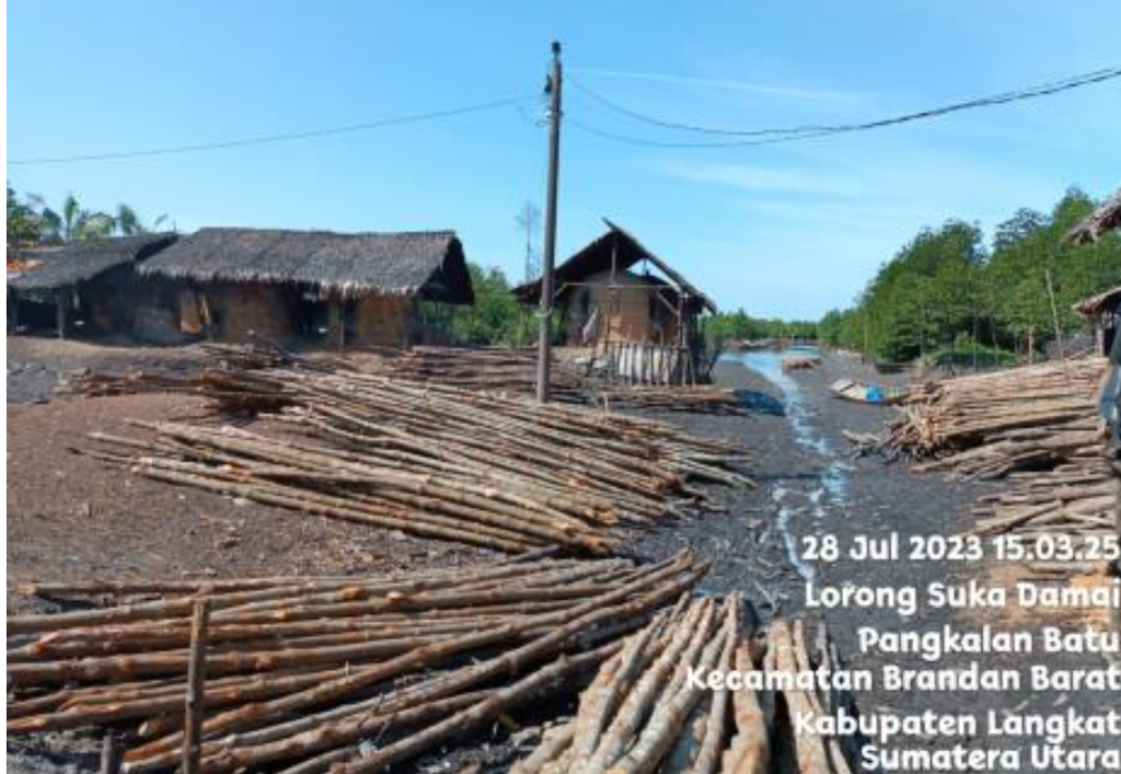 Kayu-kayu hasil pembalakan dari hutan mangrove di kawasan hutan Lubuk Kertang, Kabupaten Langkat, Sumatera Utara, tampak menumpuk di tempat pembuatan arang, Jumat (28/7/2023).