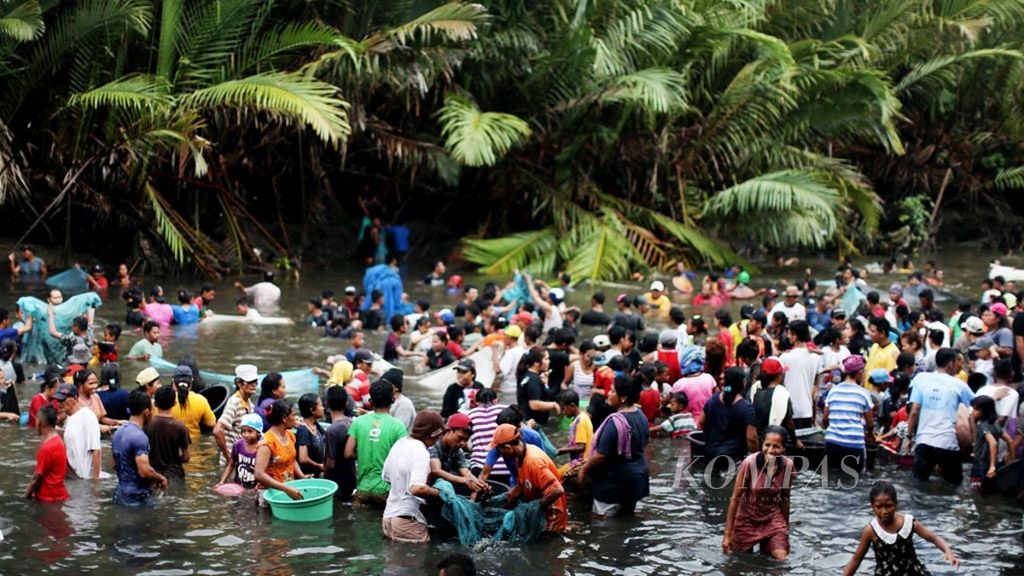 Warga Desa Haruku, Pulau Haruku, Maluku Tengah, Maluku, turun ke muara sungai untuk memanen ikan lompa (Trssina baelama) saat sasi (larangan adat) dicabut, Sabtu (29/9/2018). Sasi diberlakukan oleh adat untuk pemanfaatan sumber daya alam secara berkelanjutan.