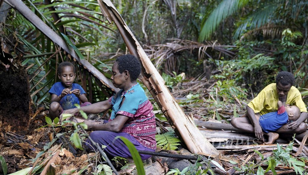 Warga suku Korowai berburu ulat sagu di hutan basah di Dusun Dayo, Distrik Yanimura, Kabupaten Boven Digoel, Papua, Jumat (6/3/2020). Warga masih berpola hidup berburu dan meramu. 