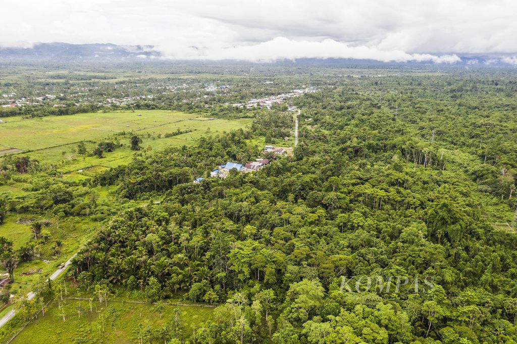 An unspoiled natural forest area borders the transmigrant area in Nimbokrang District, Jayapura Regency, Papua, Wednesday (11/24/2021). The forest in this area is still preserved by indigenous peoples to protect endemic Papuan animals such as birds of paradise.