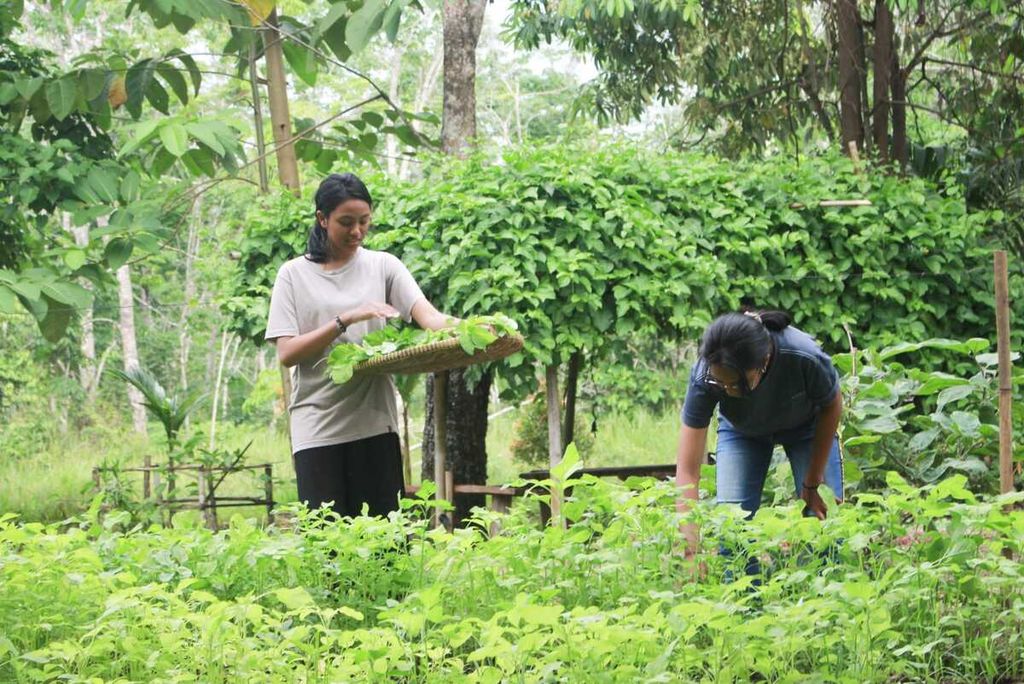 Nasywa Adivia Wardana (16), aktivis muda Serikat Perempuan Indonesia (Seruni), di tengah kebun organik di lokasi proyek mereka di Kabupaten Tebo, Jambi.