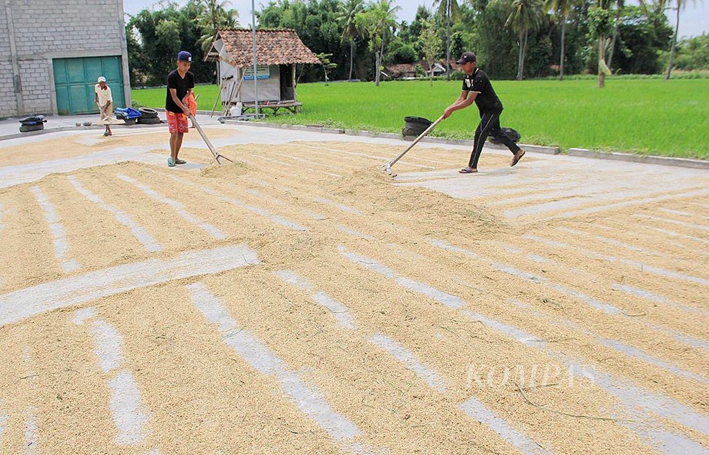 Beras organik diproduksi petani di Desa Lombok Timur, Kecamatan Wonosari, Kabupate Bondowoso, Jawa Timur. Beras organik itu dilirik konsumen Jepang, Kanada, Singapura, dan Malaysia.