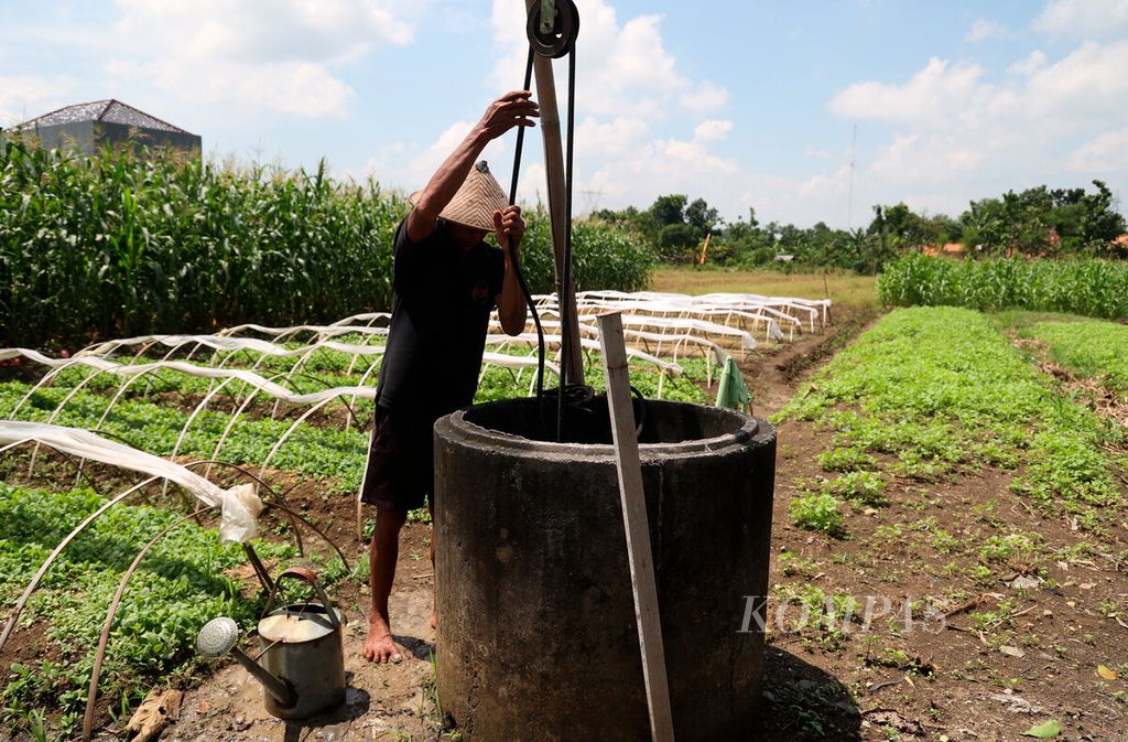 Petani menimba dari sumur untuk menyirami bibit cabainya di Desa Jragung, Kecamatan Karangawen, Kabupaten Demak, Jawa Tengah, Sabtu (20/4/2024). 