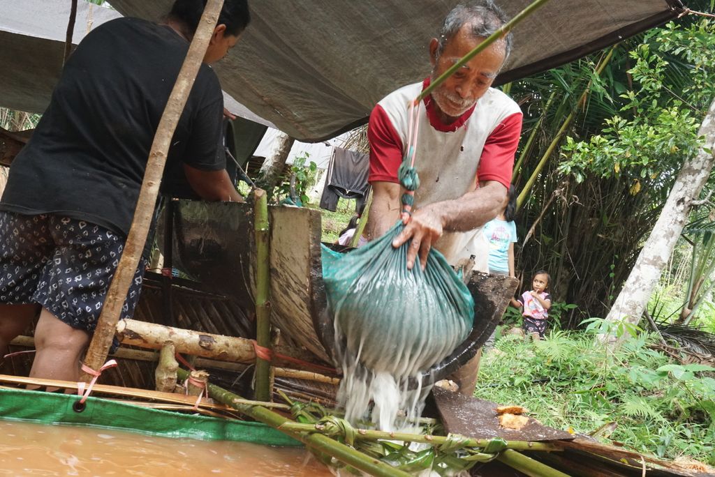 Mohonis Meluwu (65) menyaring sagu dari serpihan batang pohon sagu di Kampung Bowone, Tabukan Selatan Tengah, Kepulauan Sangihe, Sulawesi Utara, Sabtu (7/8/2021). Sagu masih menjadi salah satu pilihan utama sumber karbohidrat bagi warga Kepulauan Sangihe yang hampir tak memiliki sawah sama sekali.