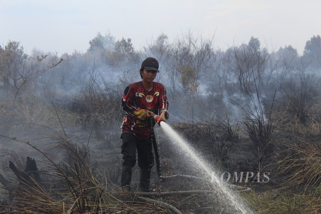 Petugas dari tim gabungan pemadam kebakaran hutan dan lahan Provinsi Kalimantan Tengah berupaya memadamkan api yang membakar lahan gambut di Jalan Hapakat, Kelurahan Petuk Katimpun, Kota Palangkaraya, Kalteng, Jumat (25/8/2023). 
