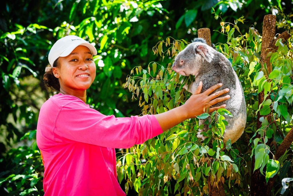 Petenis Jepang, Naomi Osaka, mengunjungi suaka hewan koala Lone Pine sebelum turnamen WTA 500 Brisbane, di Brisbane, Australia, Jumat (29/12/2023).