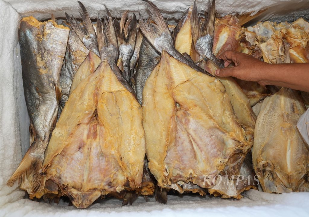 The finished salted jambal roti fish are stored in a refrigerator in Pangandaran Village, Pangandaran Subdistrict, Pangandaran Regency, West Java on Monday (6/5/2024). Jambal roti is a two-day fish fermentation product with coarse salt in its production process.