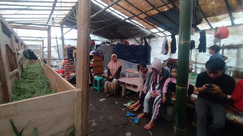 Nur Nurijah (38) bersama keluarga tengah beraktivitas di hunian sementara di kandang domba, Desa Pakuon, Sukaresmi, Cianjur, Jawa Barat, Sabtu (26/11/2022). Nur bersama keluarga menempati kandang domba milik majikannya.
