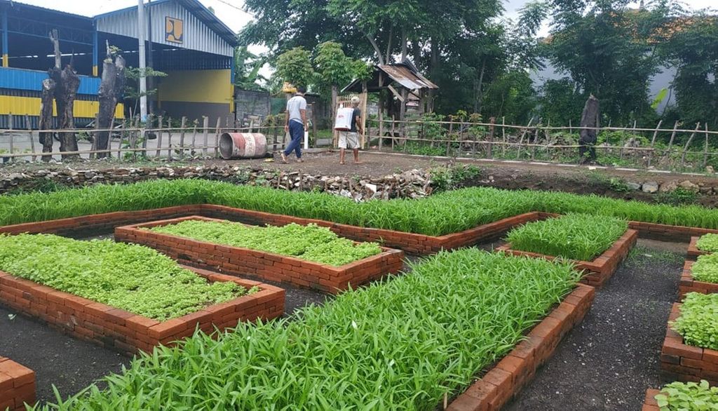 Lahan kosong di Desa Baktiseraga, Kecamatan Buleleng, Kabupaten Buleleng, Bali, dimanfaatkan sebagai kebun desa dengan konsep pertanian urban. Lahan itu diubah menjadi kebun yang menghasilkan sayur-sayuran yang dipupuk dengan pupuk organik produksi TPS3R Desa Baktiseraga. 