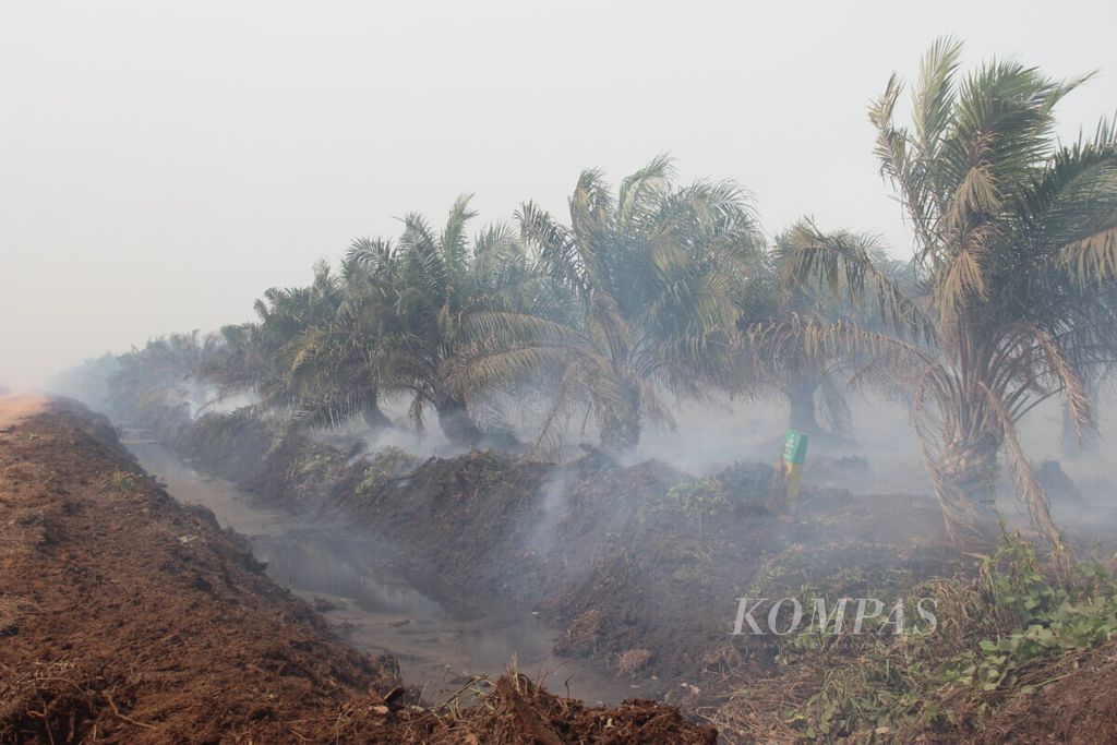 Kementerian Lingkungan Hidup dan Kehutanan menyegel area kebakaran lahan korporasi perkebunan sawit di Kabupaten Ketapang, Kalimantan Barat, Sabtu (14/9/2019). 