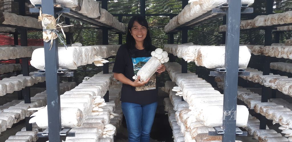 Ni Wayan Purnami dengan <i>baglog </i>yang ditumbuhi jamur tiram, Senin (3/4/2023), di kumbung Bee Jamur di Banjar Den-yeh Kelurahan Peguyangan Kaja, Denpasar Utara, Bali. Wayan Purnami alias Emick membudidayakan jamur tiram sejak 2009.