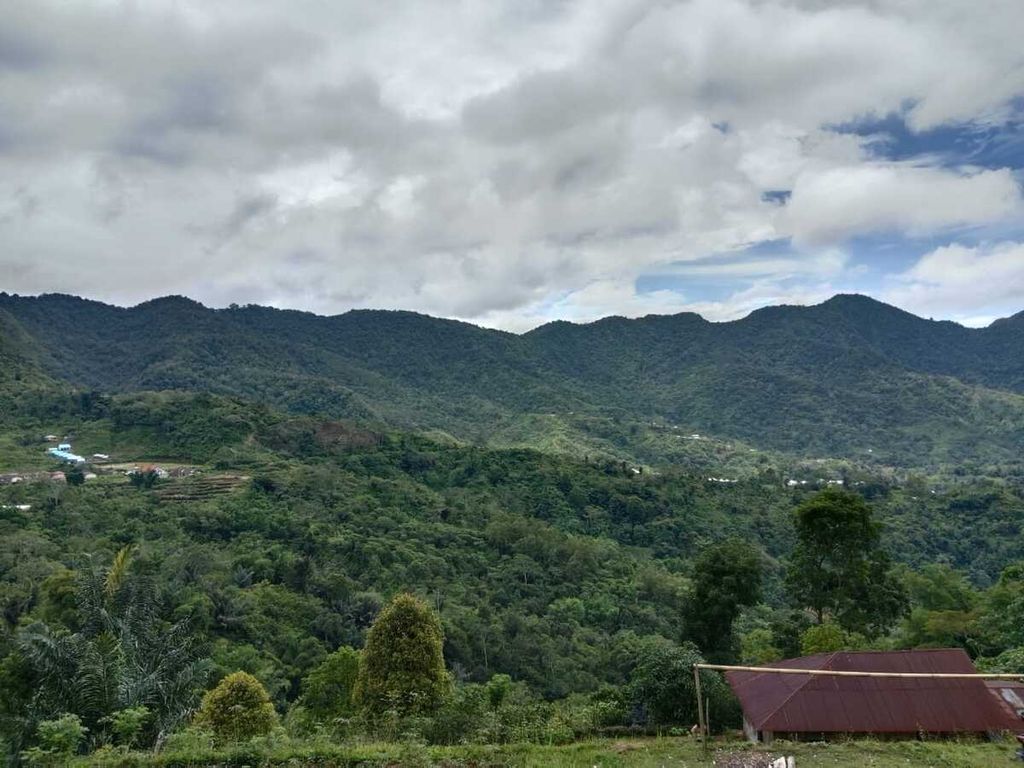 Kawasan Poco Leok di Kabupaten Manggarai, Nusa Tenggara Timur, Minggu (17/3/2024). Kawasan dikelilingi perbukitan. 