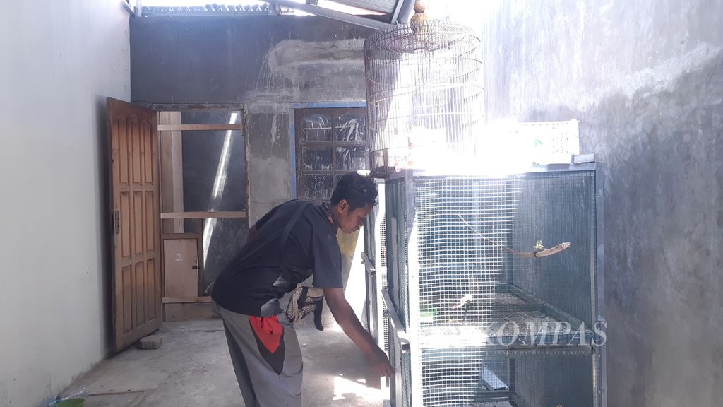 Tili (35) berada di samping kandang burung di rumahnya di Desa Tinggede, Kecamatan Marawola, Kabupaten Sigi, Sulteng, Selasa (8/2/2022). Dengan keterampilan menjerat, Tili berhasil menjerat buaya yang terlilit ban selama 6 tahun di Sungai Palu untuk diselamatkan.