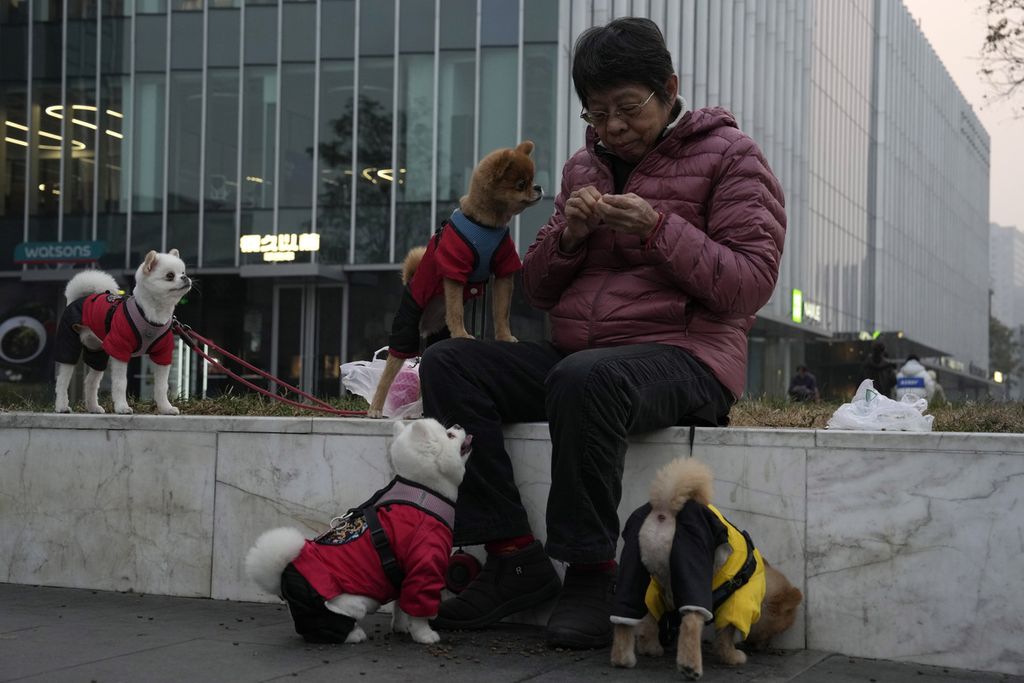 Seorang warga memberi makan anjingnya di luar sebuah mal di Beijing, China, 21 November 2023.